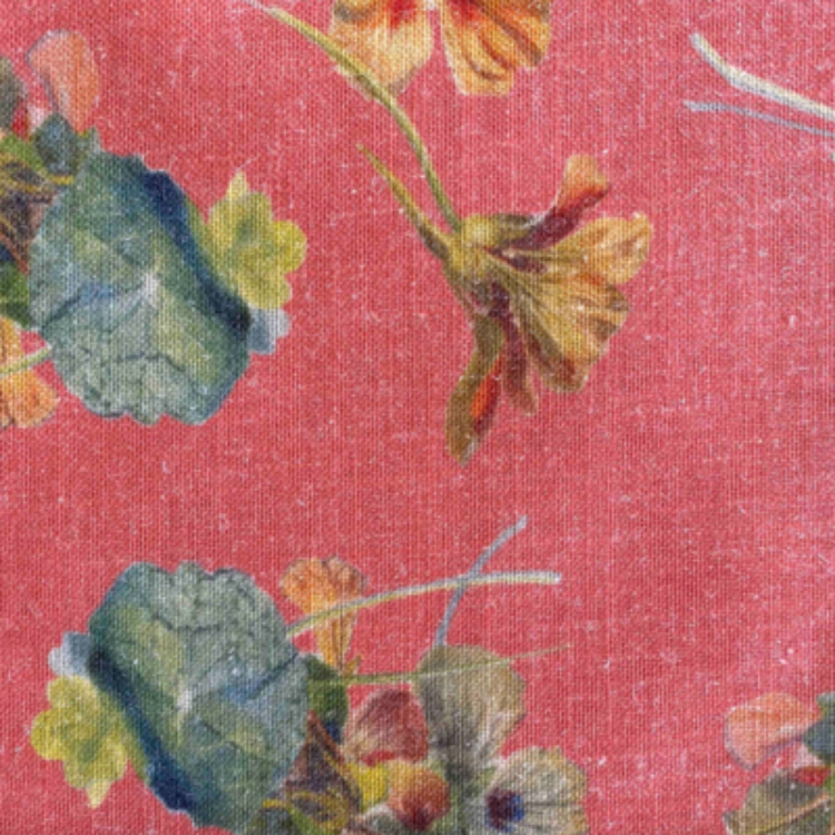 Picture of NASTURTIUM CORAL (TABLECLOTH)